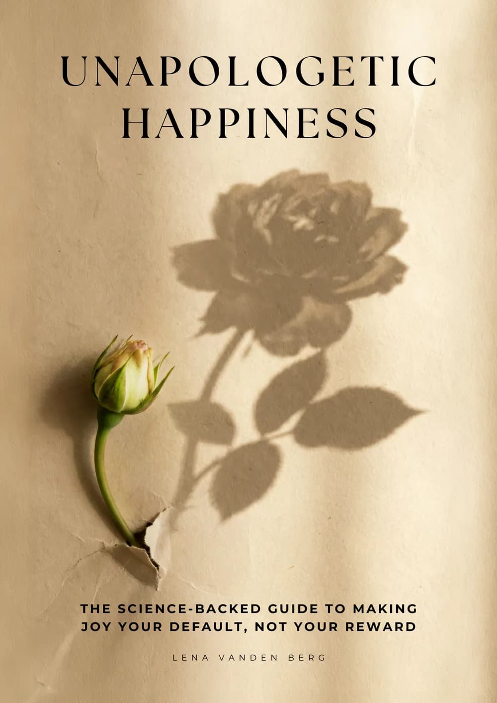 Unapologetic Happiness cover